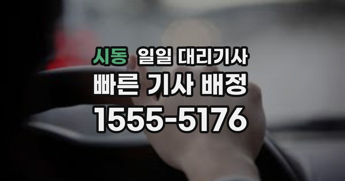 시동 일일 대리기사