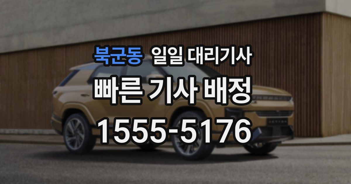 북군동 일일 대리기사
