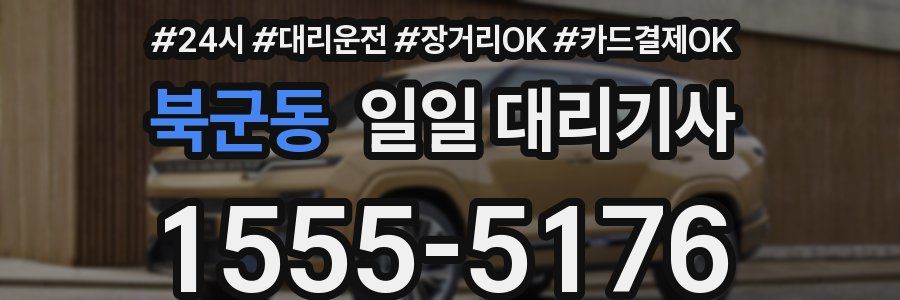 북군동 일일 대리기사