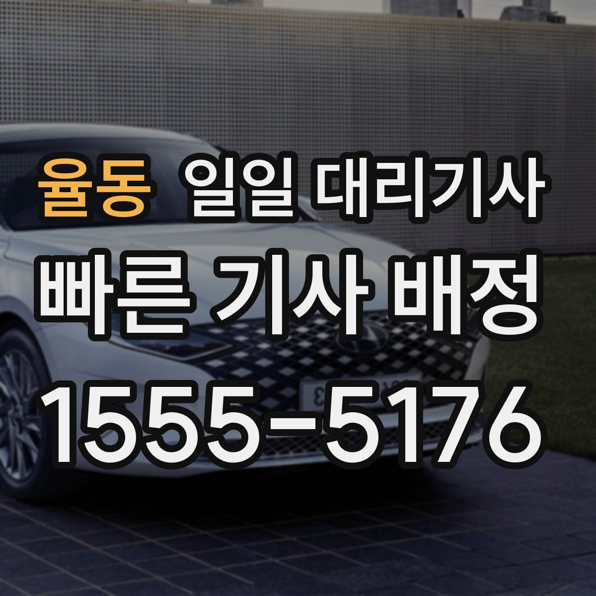 율동 일일 대리기사