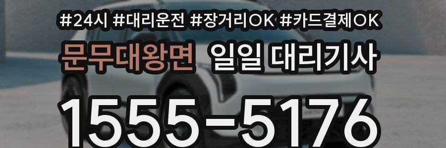 문무대왕면 일일 대리기사