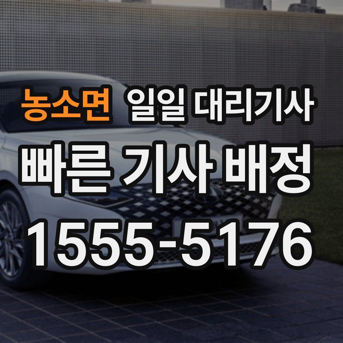농소면 일일 대리기사