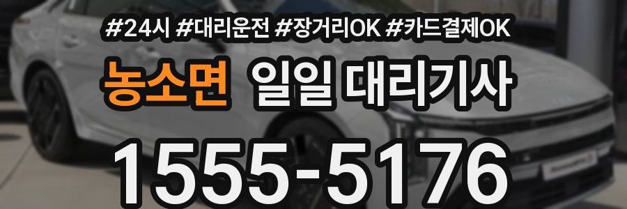 농소면 일일 대리기사