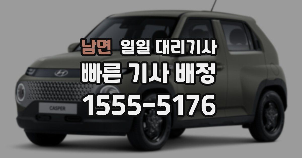남면 일일 대리기사