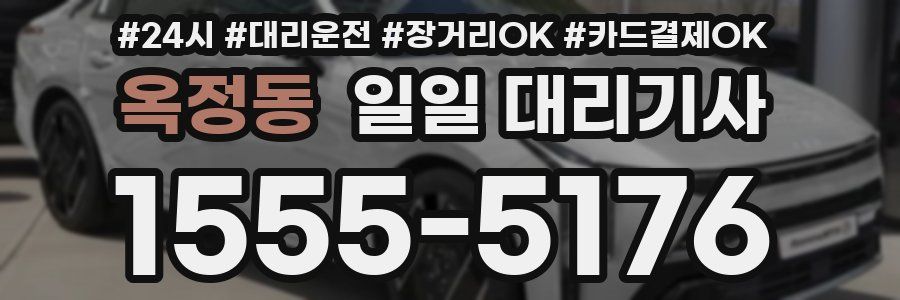 옥정동 일일 대리기사