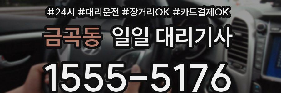 금곡동 일일 대리기사
