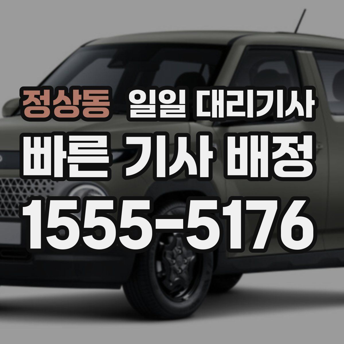 정상동 일일 대리기사