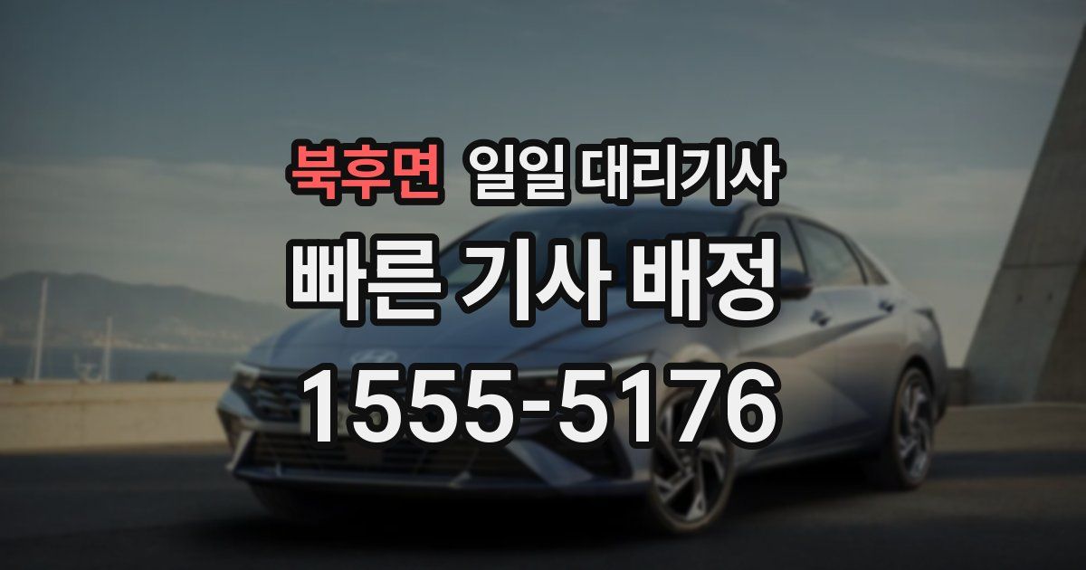 북후면 일일 대리기사