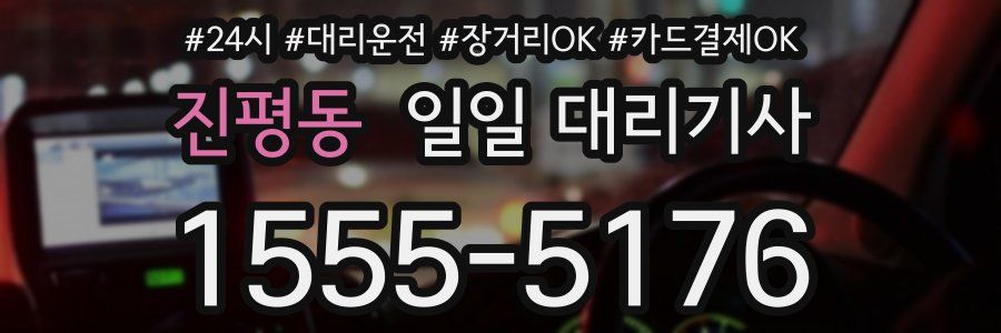 진평동 일일 대리기사