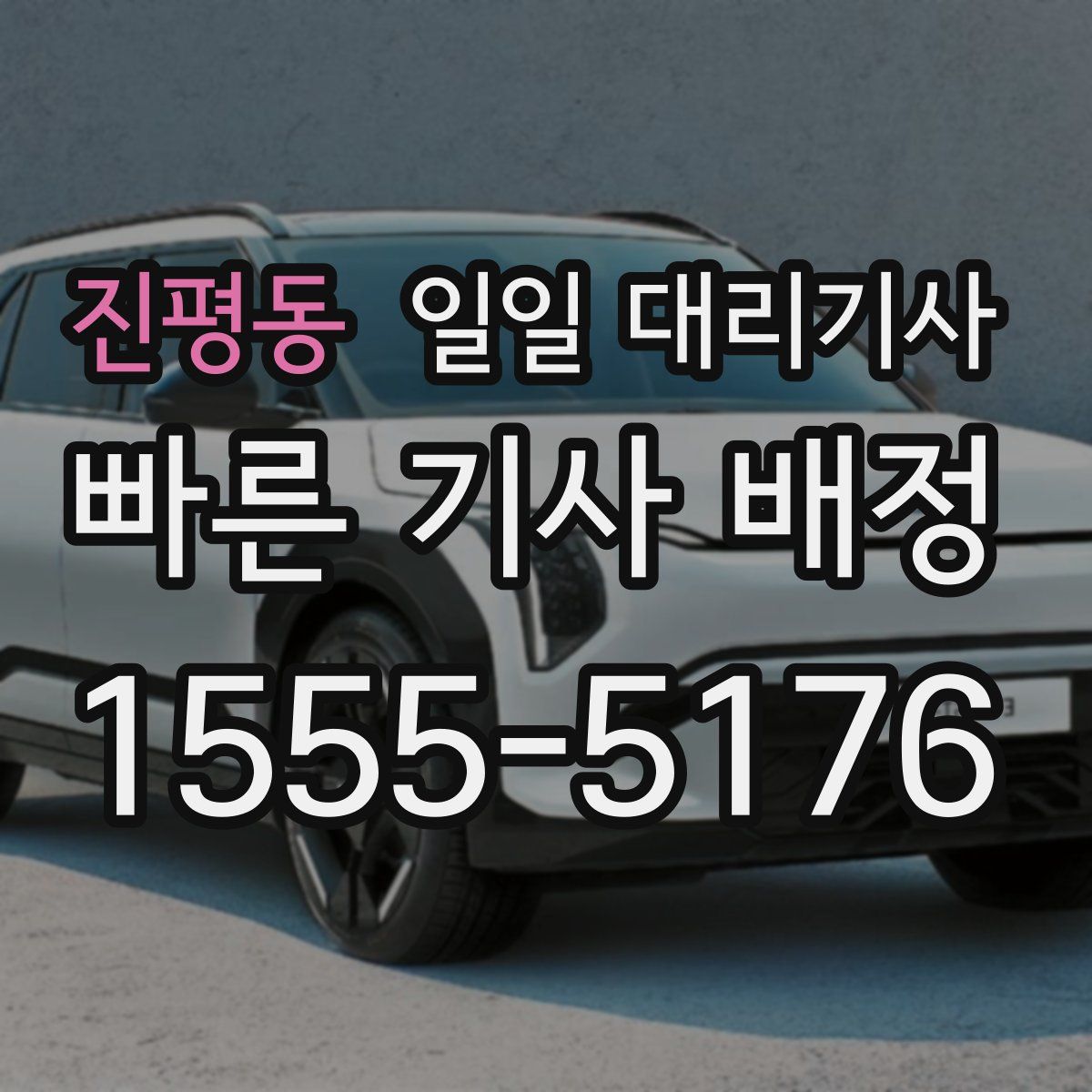 진평동 일일 대리기사
