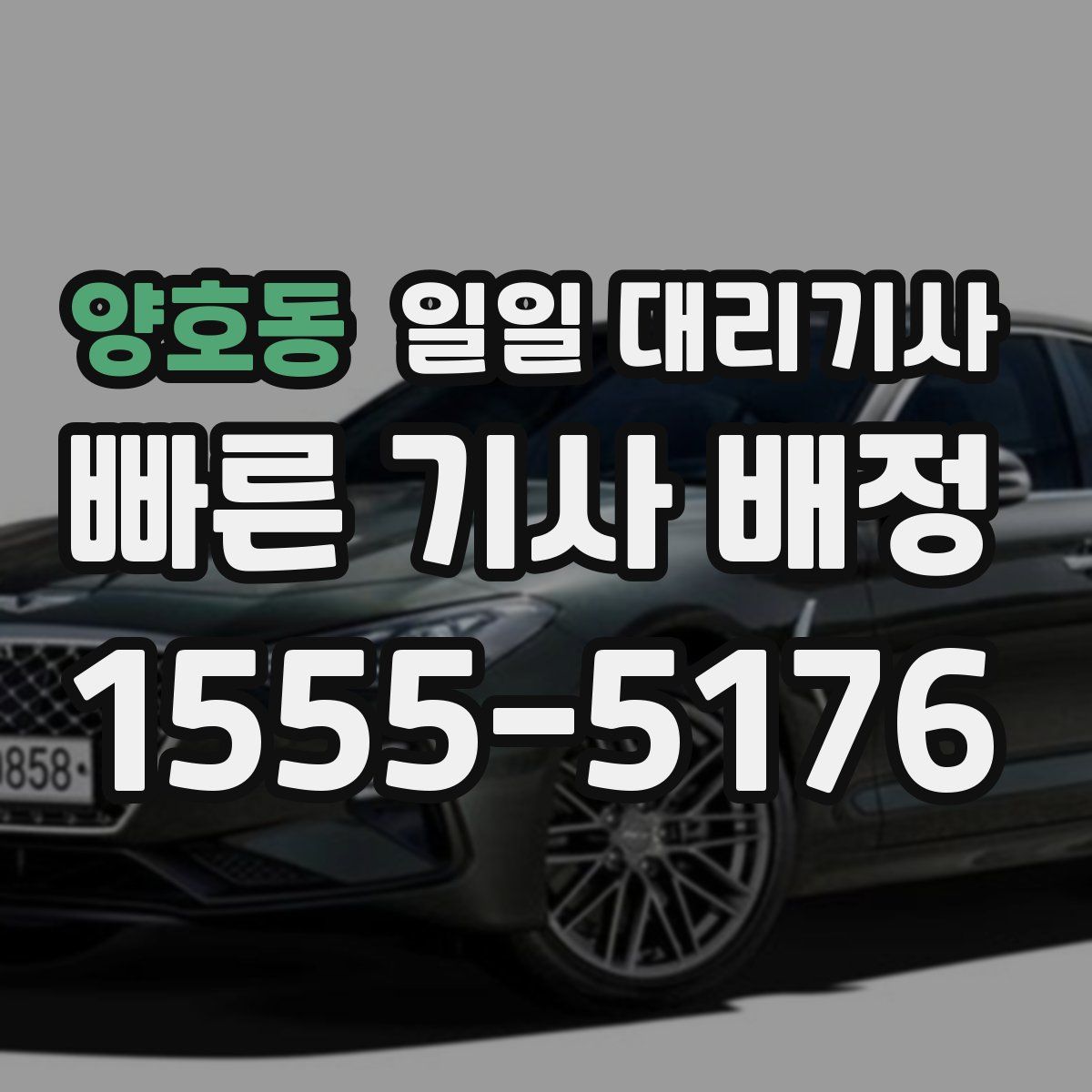 양호동 일일 대리기사