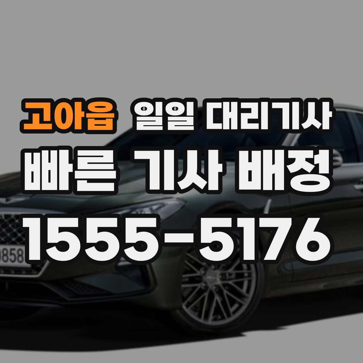고아읍 일일 대리기사