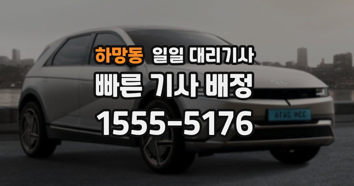 하망동 일일 대리기사
