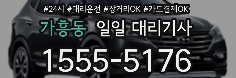 가흥동 일일 대리기사