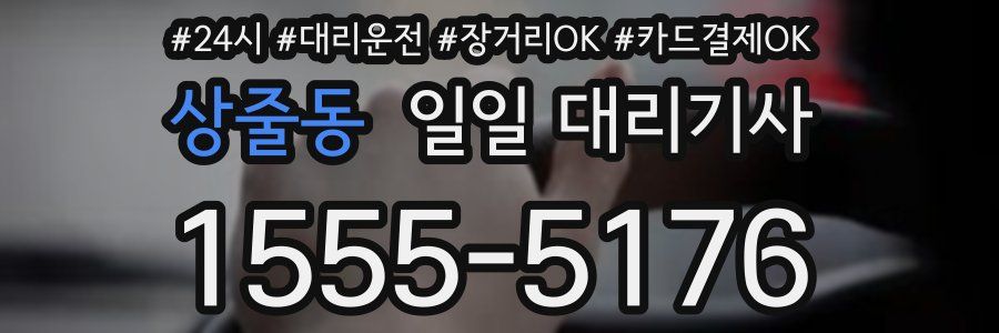 상줄동 일일 대리기사