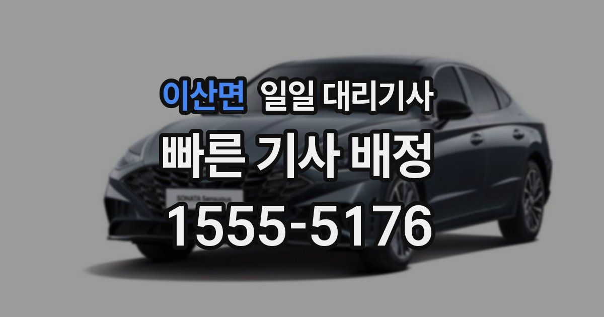 이산면 일일 대리기사