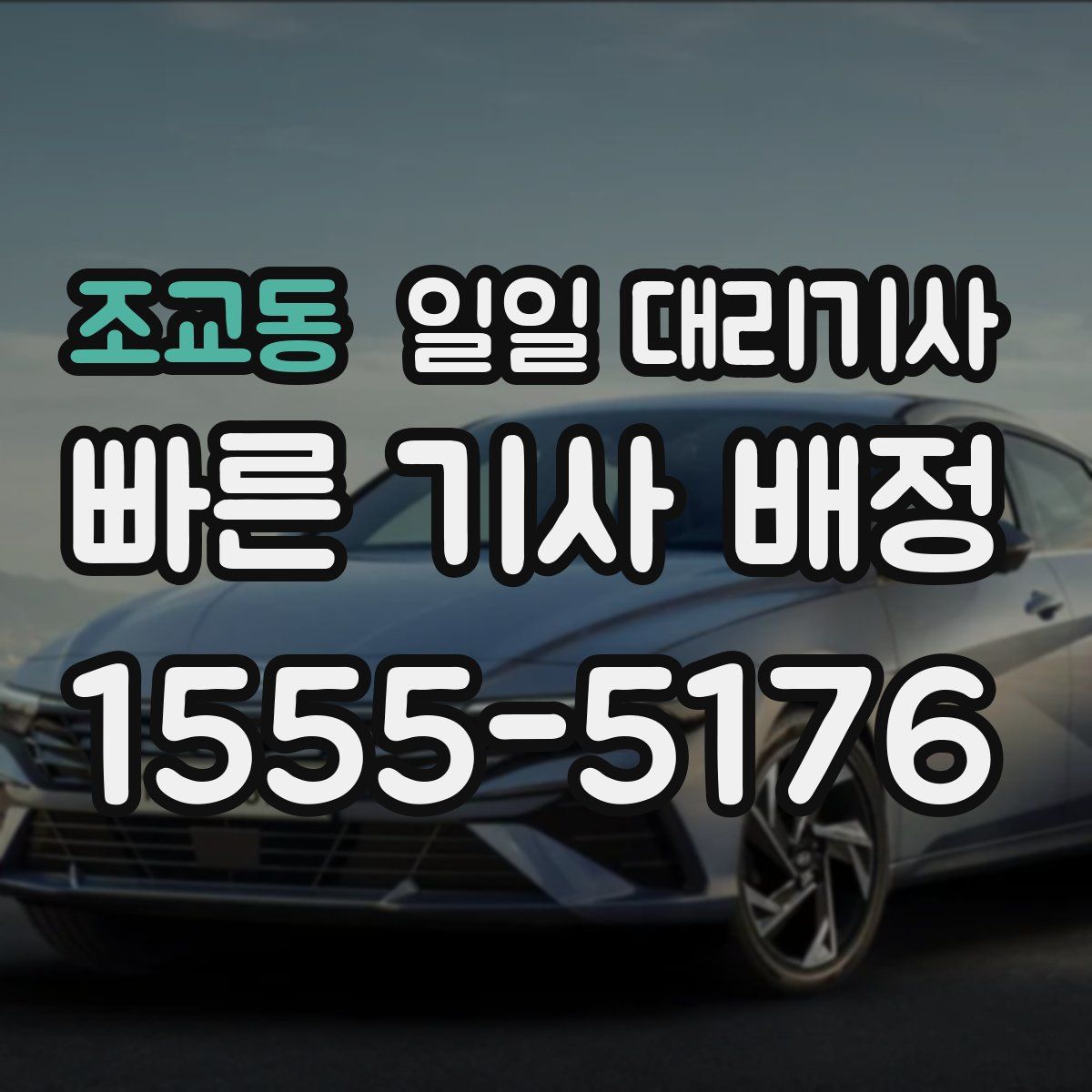 조교동 일일 대리기사