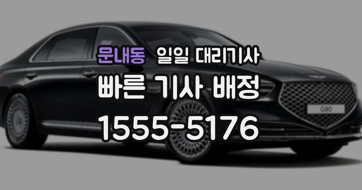 문내동 일일 대리기사