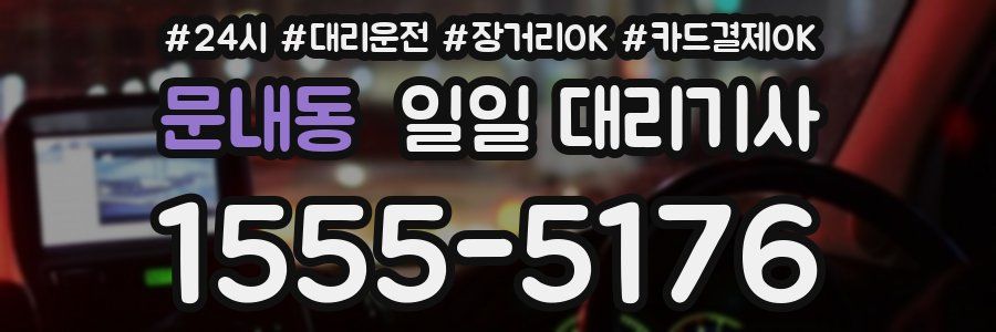 문내동 일일 대리기사