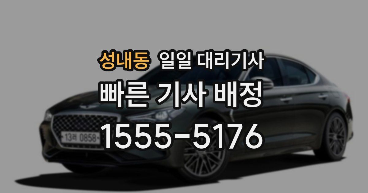 성내동 일일 대리기사