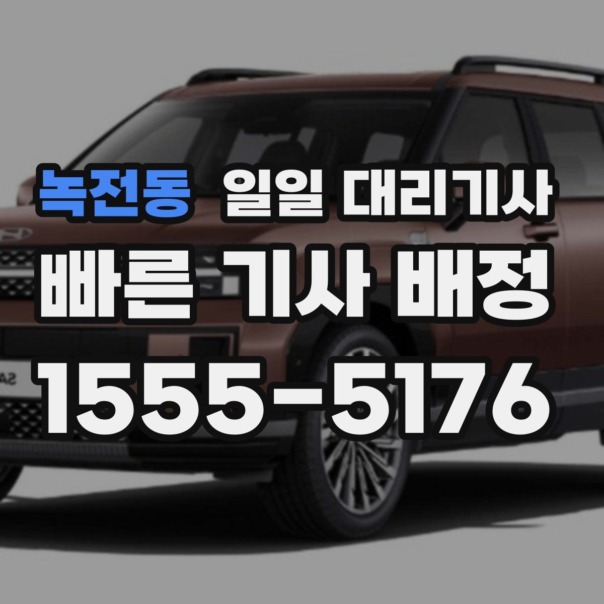 녹전동 일일 대리기사