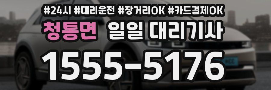 청통면 일일 대리기사