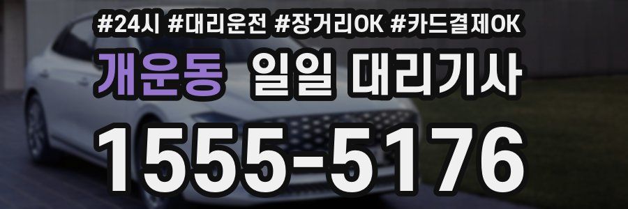 개운동 일일 대리기사