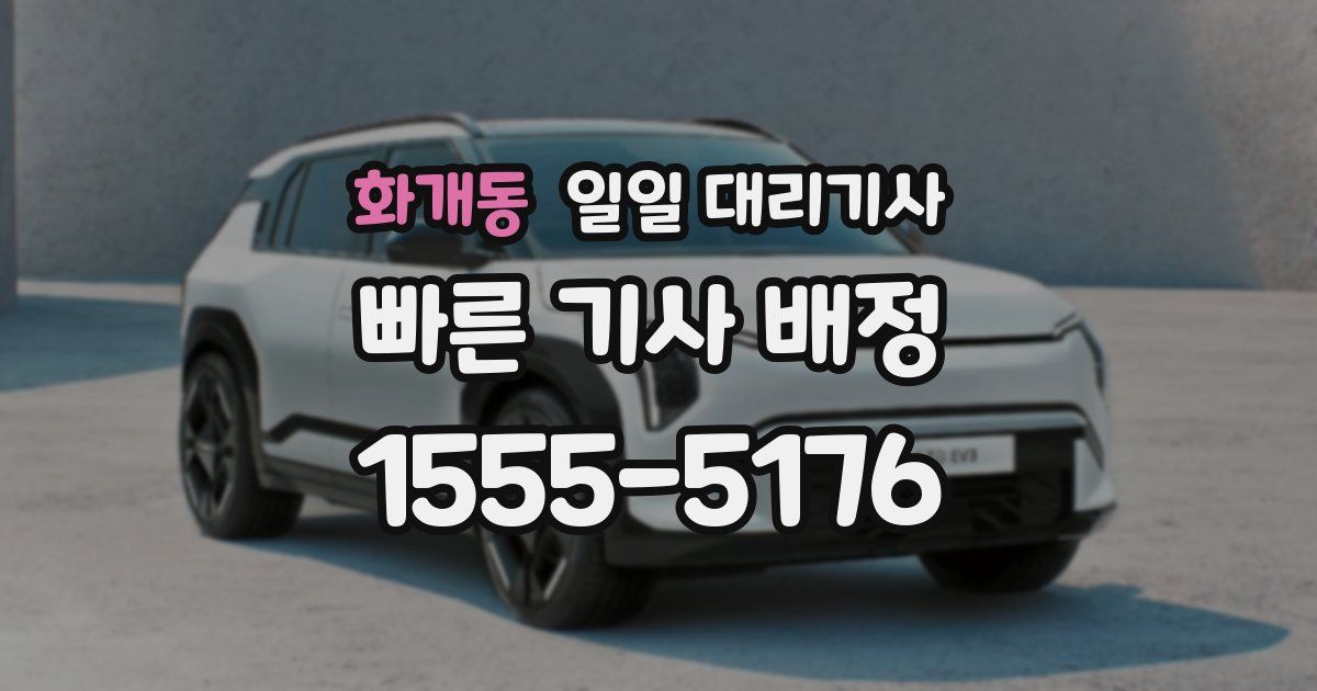 화개동 일일 대리기사
