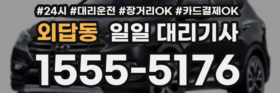 외답동 일일 대리기사