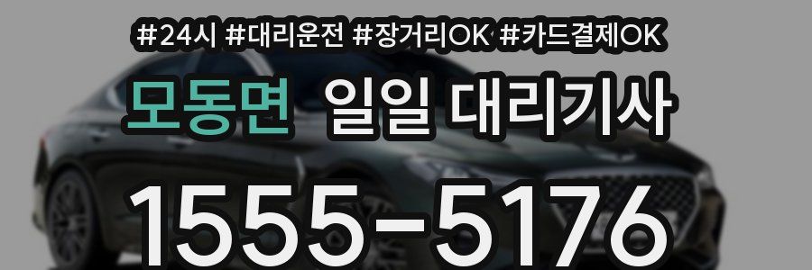 모동면 일일 대리기사