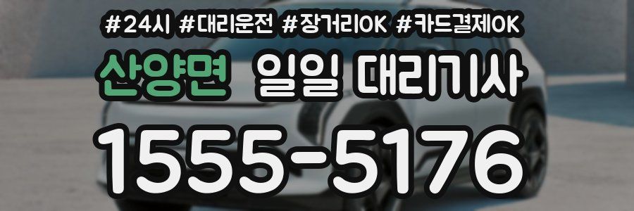 산양면 일일 대리기사