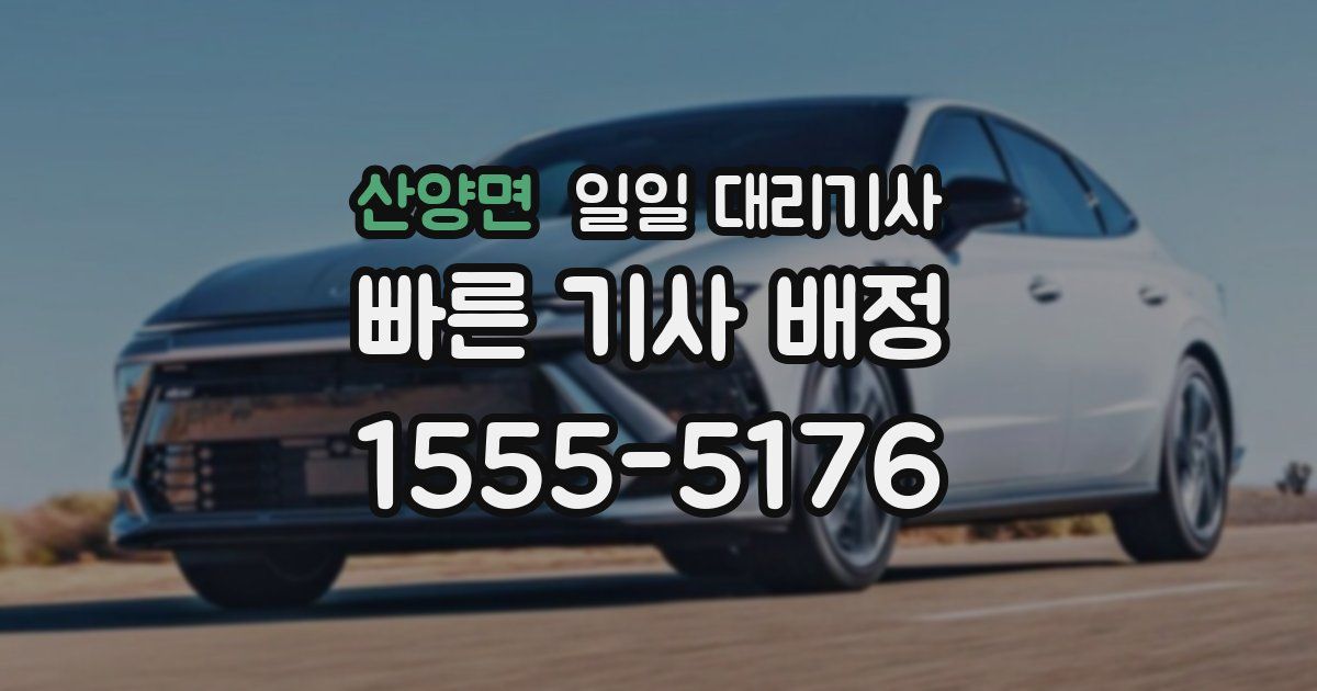 산양면 일일 대리기사