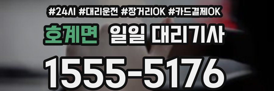 호계면 일일 대리기사
