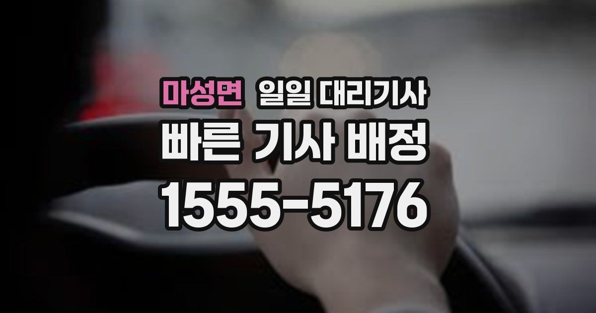 마성면 일일 대리기사