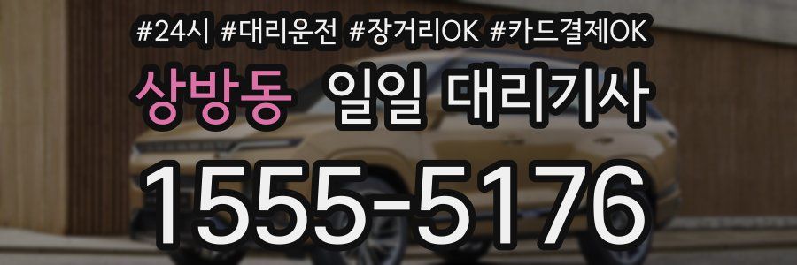 상방동 일일 대리기사
