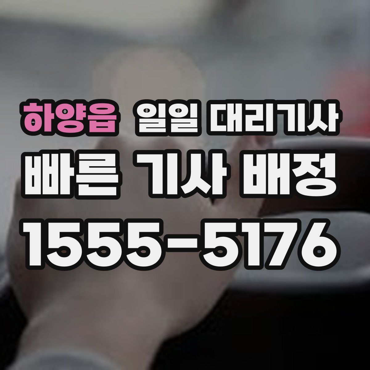 하양읍 일일 대리기사