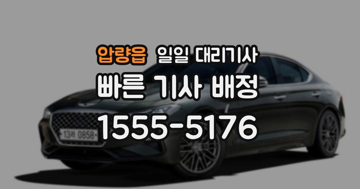 압량읍 일일 대리기사