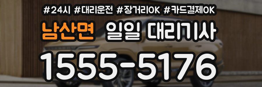 남산면 일일 대리기사