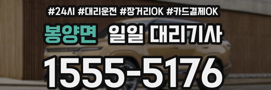 봉양면 일일 대리기사
