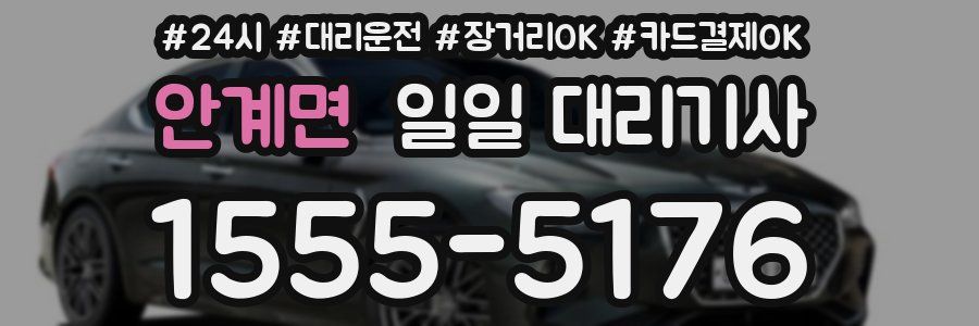 안계면 일일 대리기사
