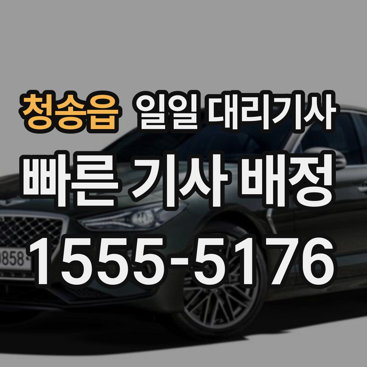 청송읍 일일 대리기사