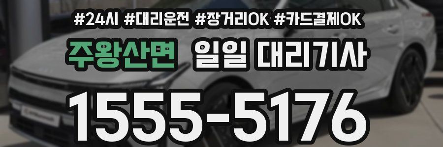 주왕산면 일일 대리기사