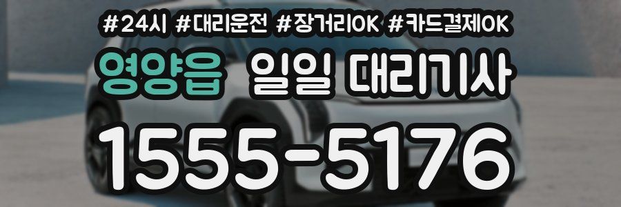영양읍 일일 대리기사