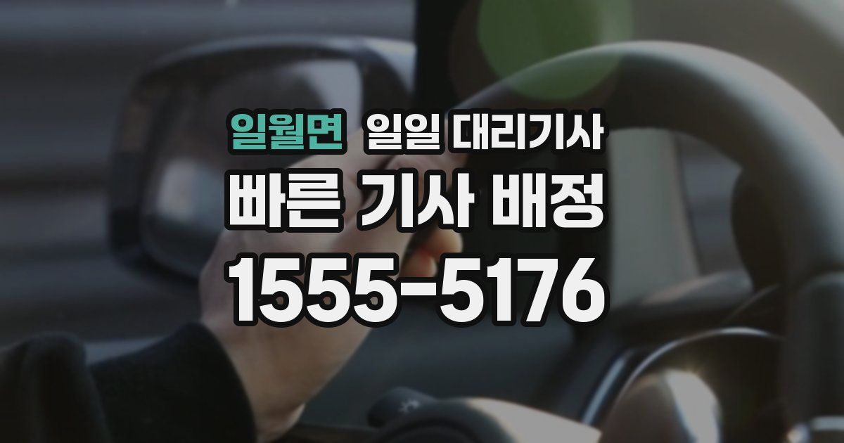 일월면 일일 대리기사