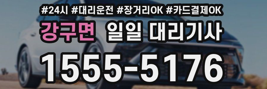 강구면 일일 대리기사