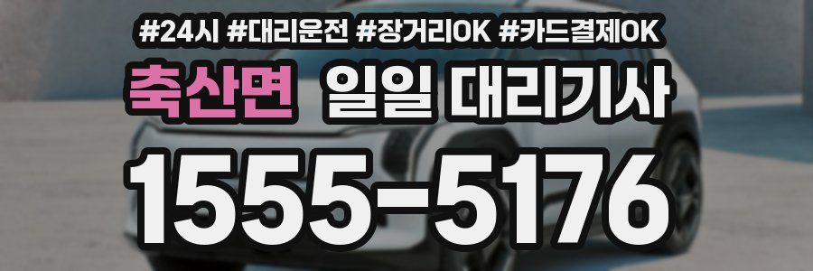 축산면 일일 대리기사