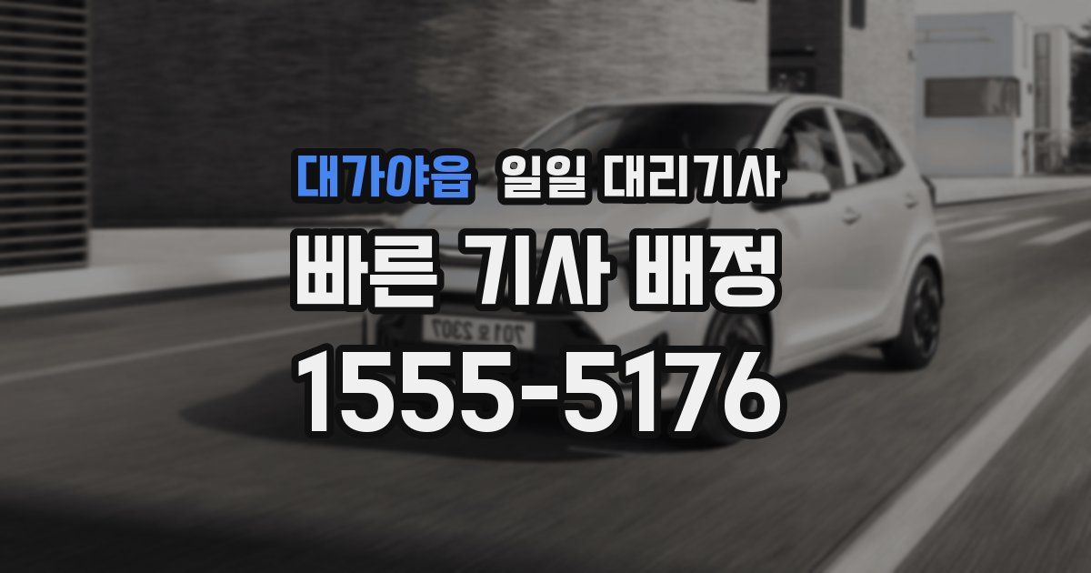 대가야읍 일일 대리기사