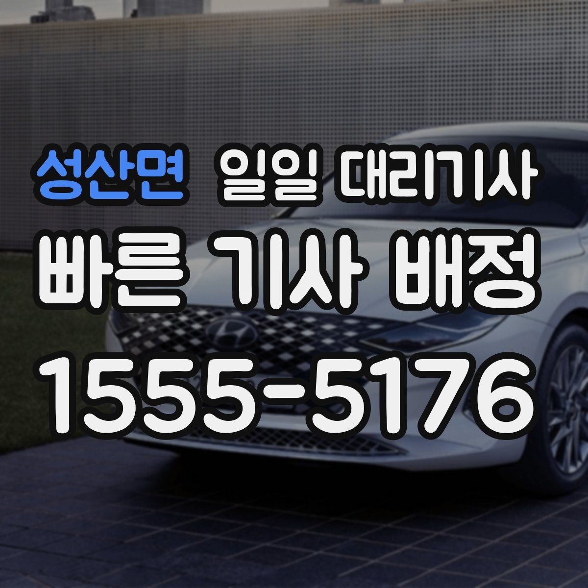 성산면 일일 대리기사