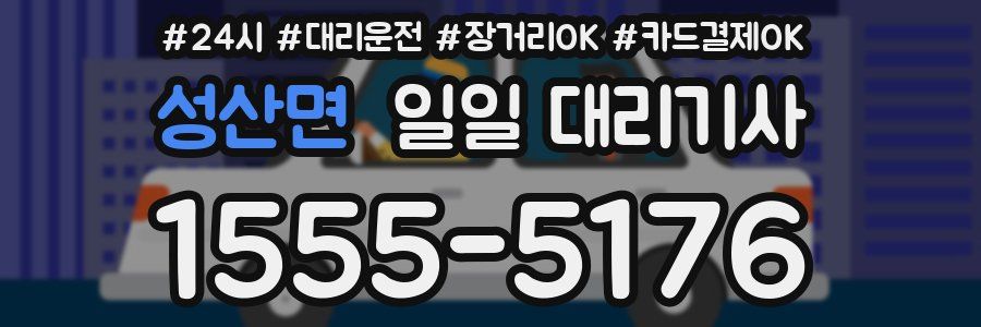 성산면 일일 대리기사