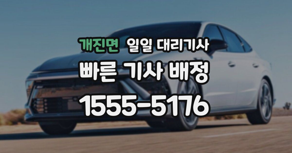 개진면 일일 대리기사